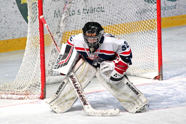 阿拉维斯的 阿拉维斯的